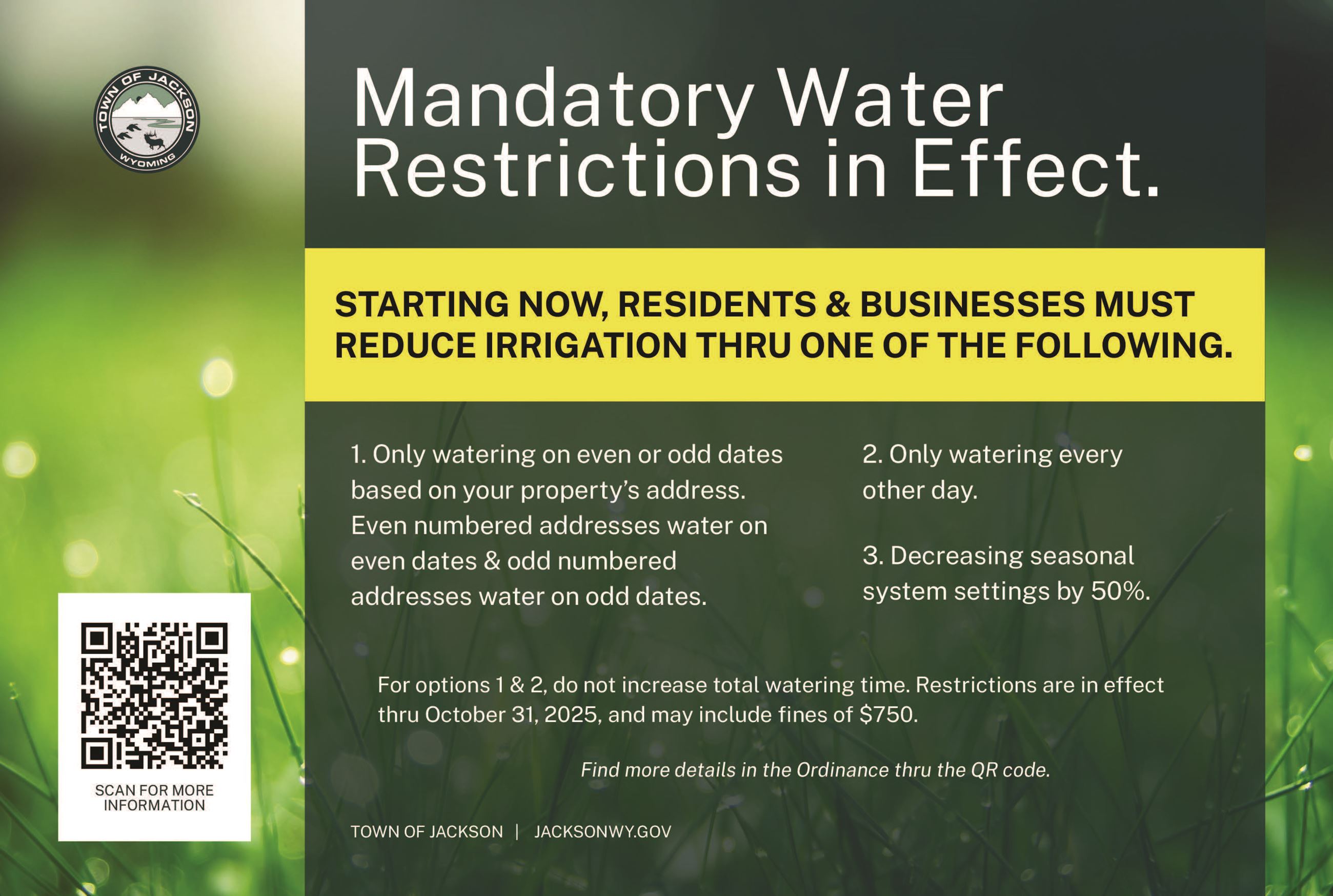 Mandatory Water Summer 2025