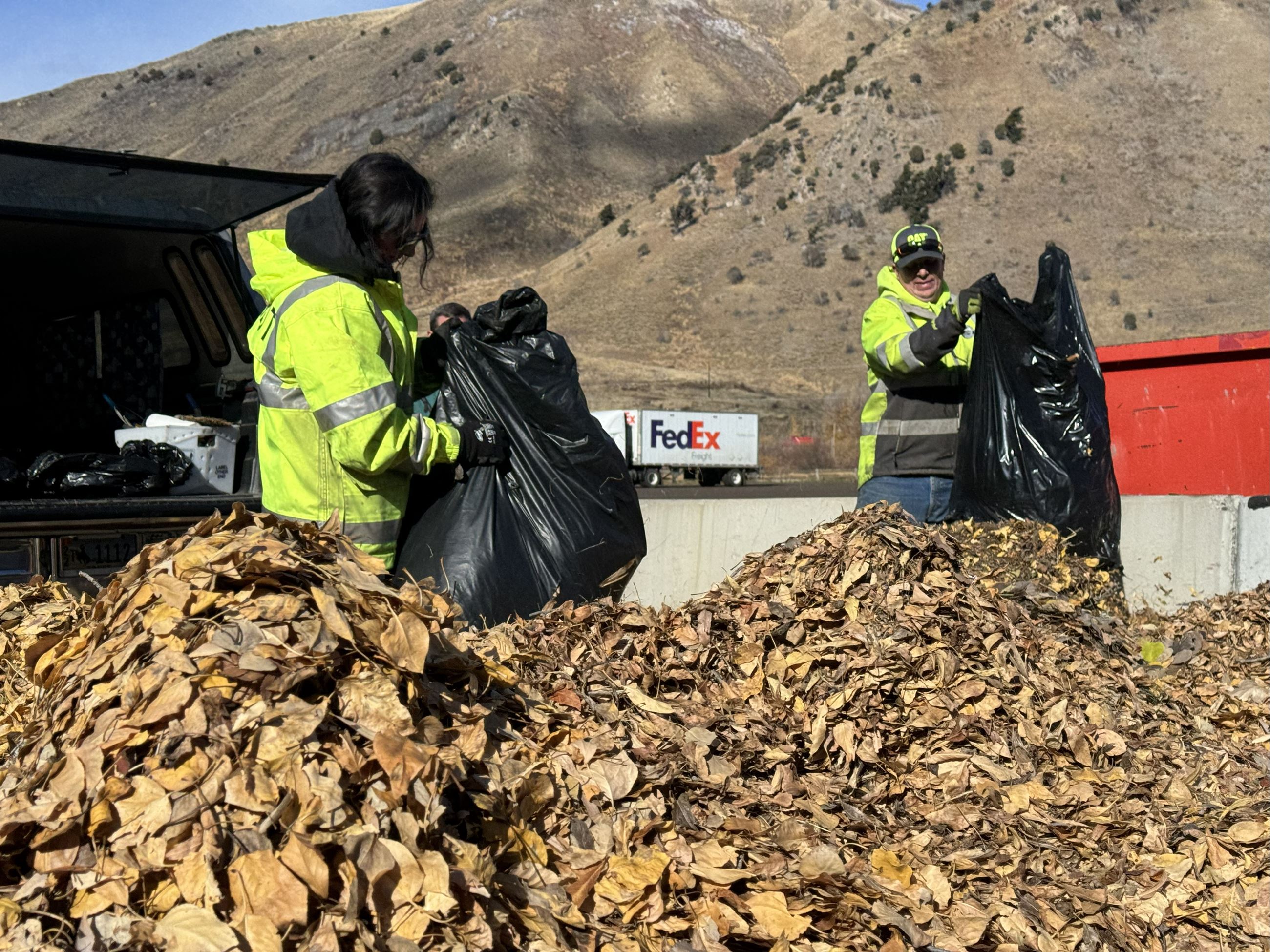 Fall clean up - piles of leaves 